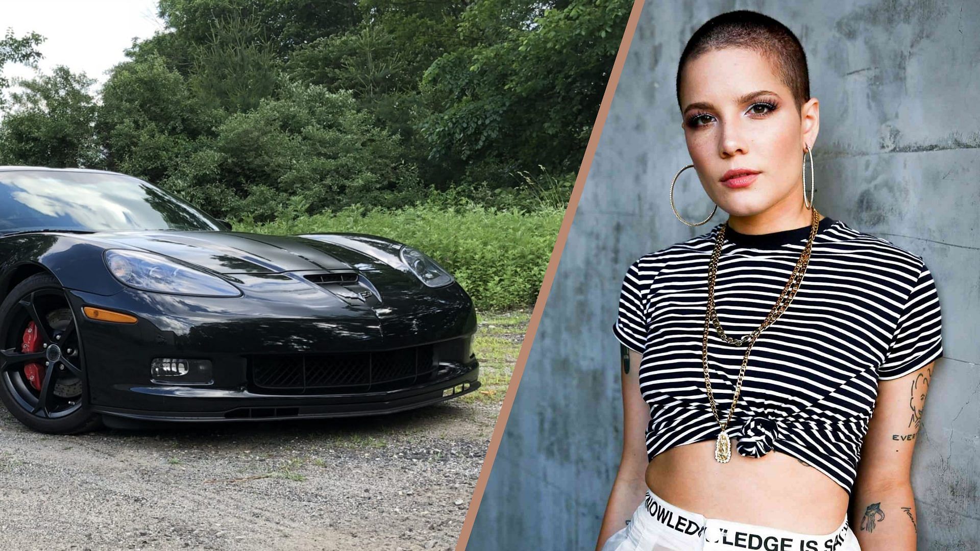 Halsey's Chevrolet Corvette