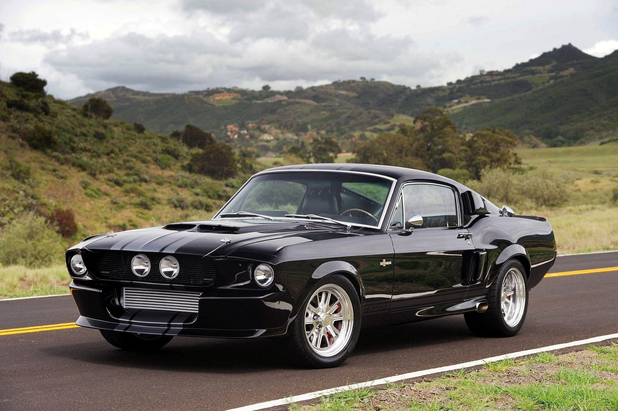 shelby