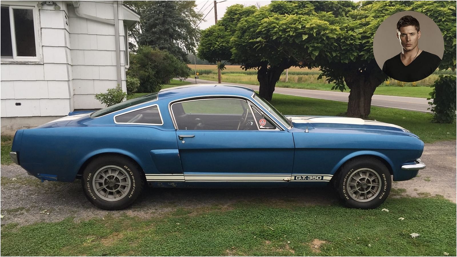 1966 Ford Shelby Mustang GT350