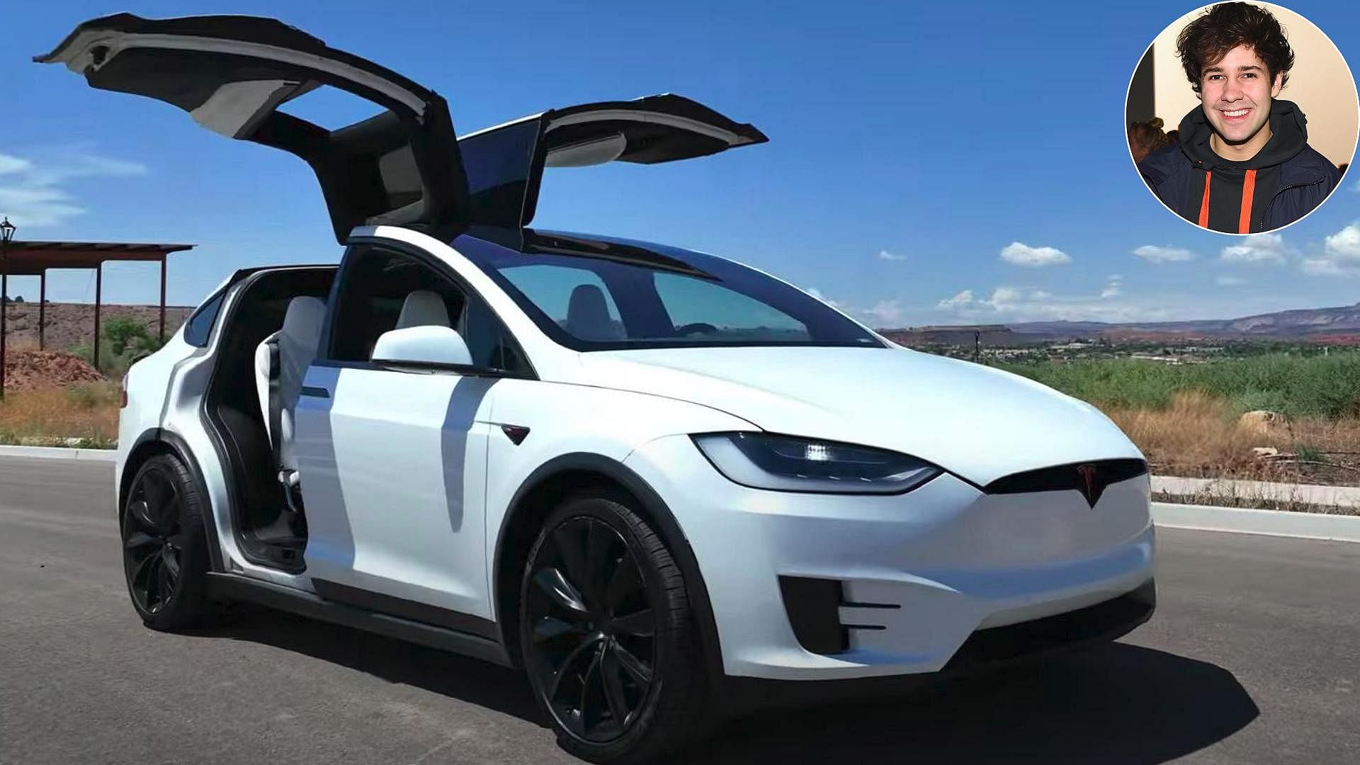 David Dobrik Tesla Model X